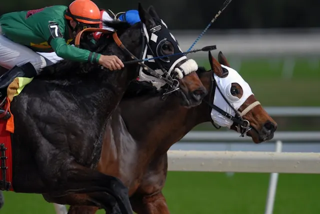 horse race from the side