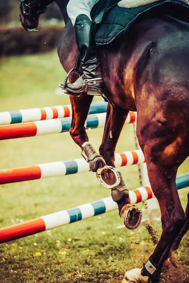 hurdle race